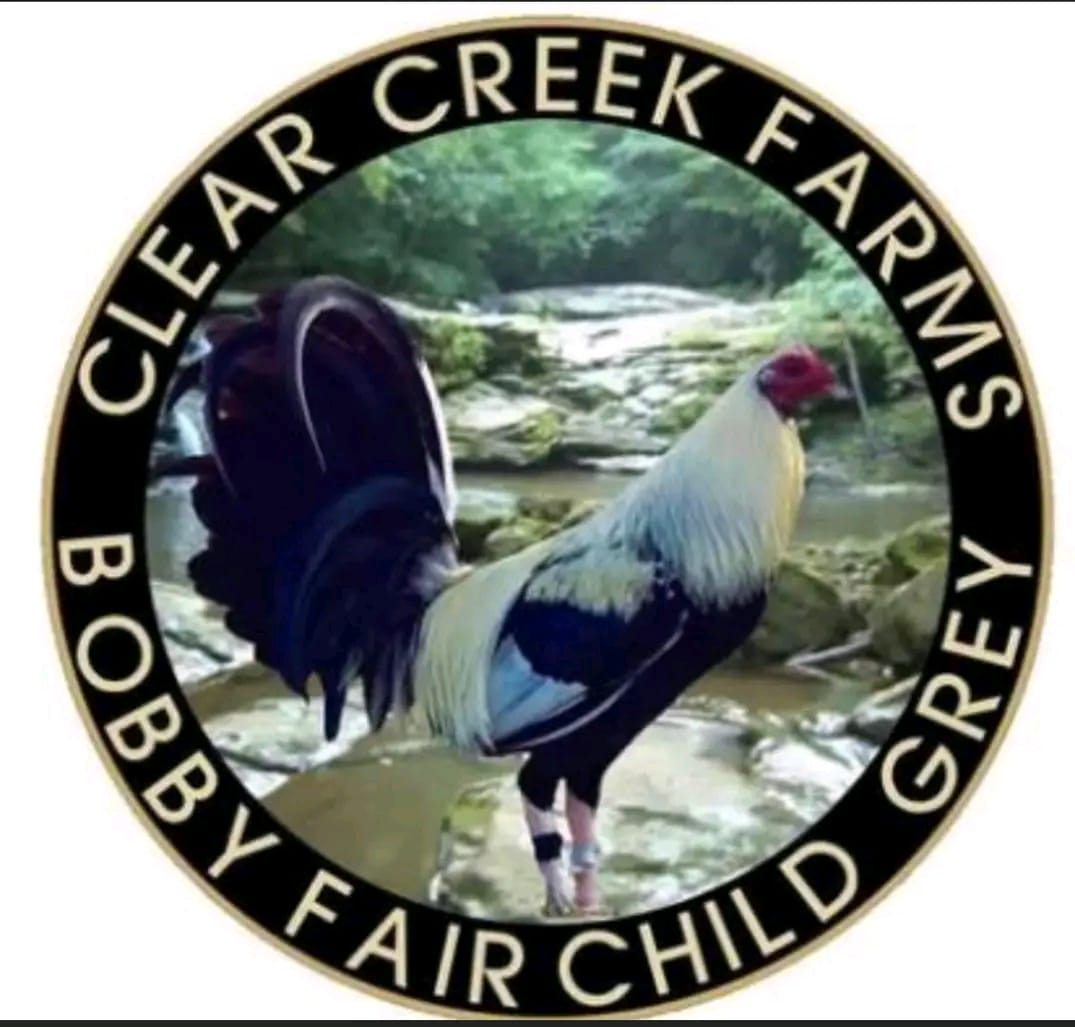 clearcreekgamefowl.com